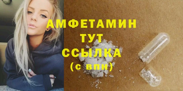 ПСИЛОЦИБИНОВЫЕ ГРИБЫ Дмитриев